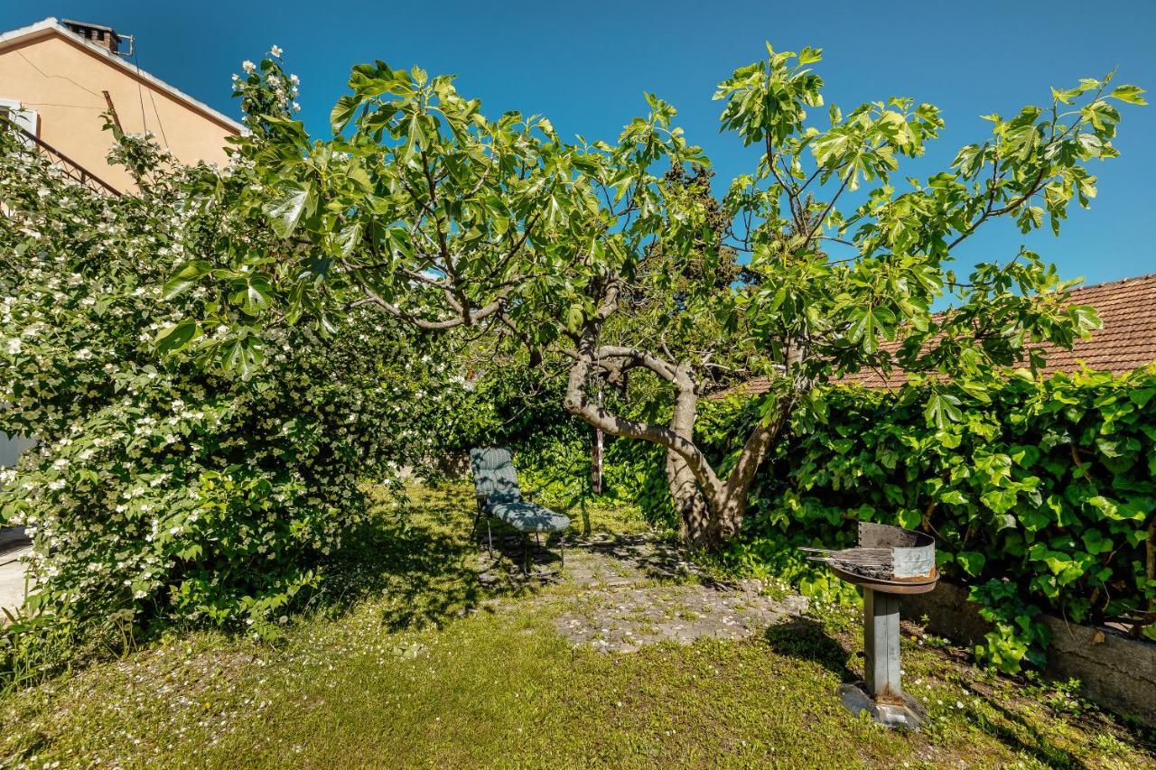 Green Garden Apartments Herceg Novi Exterior foto
